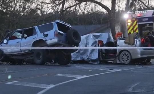 뉴질랜드헤럴드 갈무리